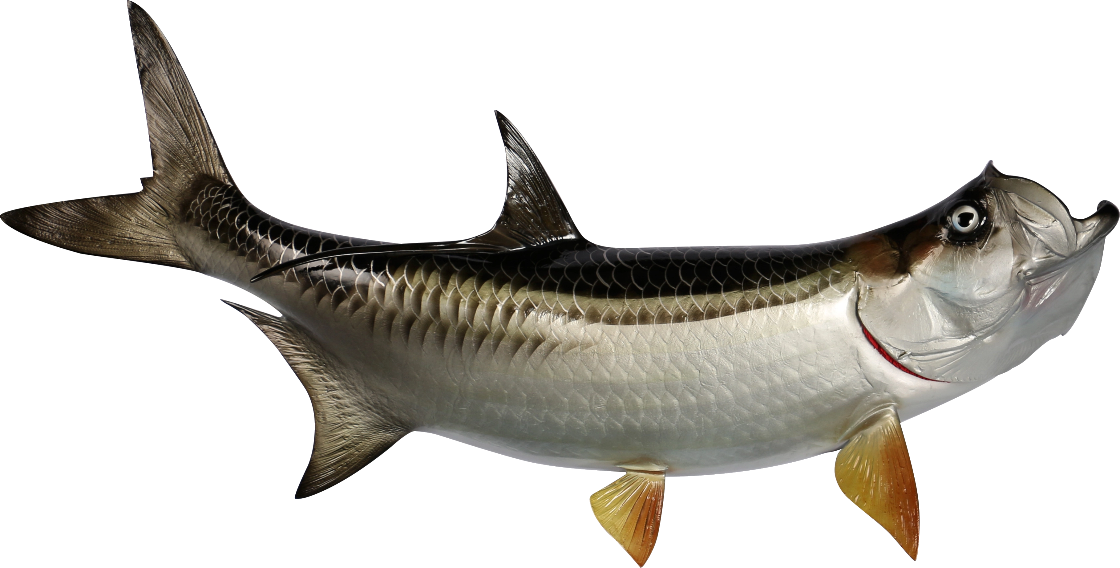 Tarpon fiberglass mount